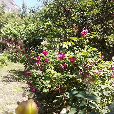 Casa Dalena Konukevi